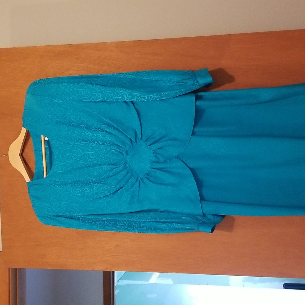 Nora Noh silk dress.